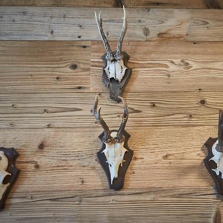 Glemm Lodge Apartments - Joker Card Im Sommer Inklusive Saalbach-Hinterglemm Bagian luar foto