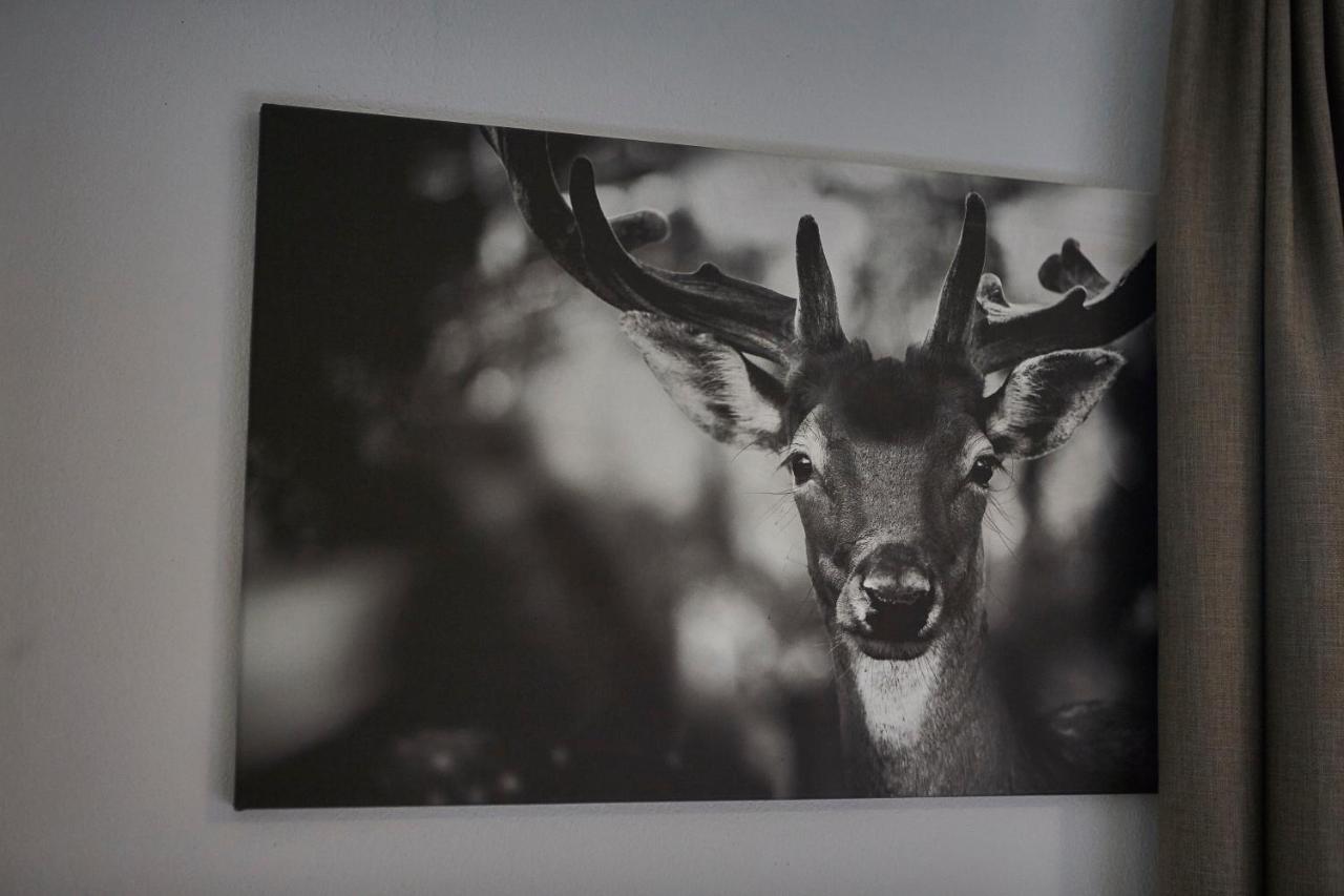 Glemm Lodge Apartments - Joker Card Im Sommer Inklusive Saalbach-Hinterglemm Bagian luar foto